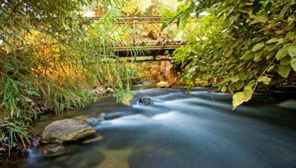 השבת מים לטבע "מעיינות הדופן" מורדות הגולן: ממשק המים ומשמעותו האקולוגית