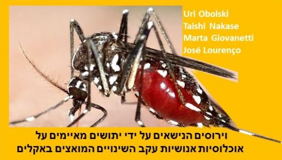 מיפוי פוטנציאל ההדבקה של מחלת הדנגי על ידי יתושים, כפונקציה של תנאי מזג אוויר