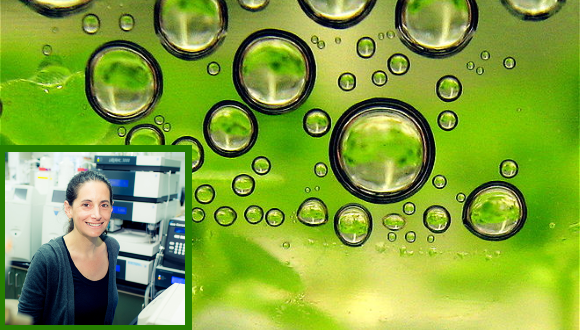 Green crude or brown crud