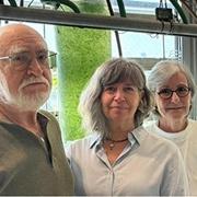 הוכח מחקרית: האצות בטוחות למאכל מבחינה אלרגנית