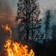 שריפות ענק משתוללות ברחבי אירופה